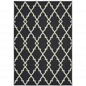 4' x 6' Black and Ivory Indoor Outdoor Area Rug