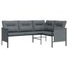 2 Piece Patio Lounge Set Anthracite Steel